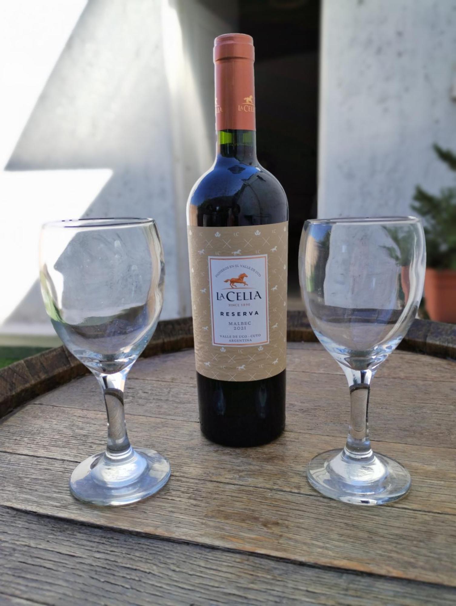 La Barrica Estudio En Capital, Centrico Y Acogedor, Con Hermosa Terraza Disfrutar * Mendoza